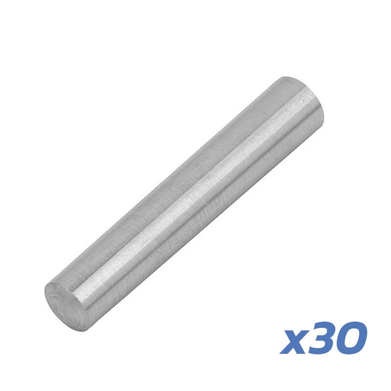 Pino de dobradiça Trotinete Eletrica Dualtron V1 - 30 unidades